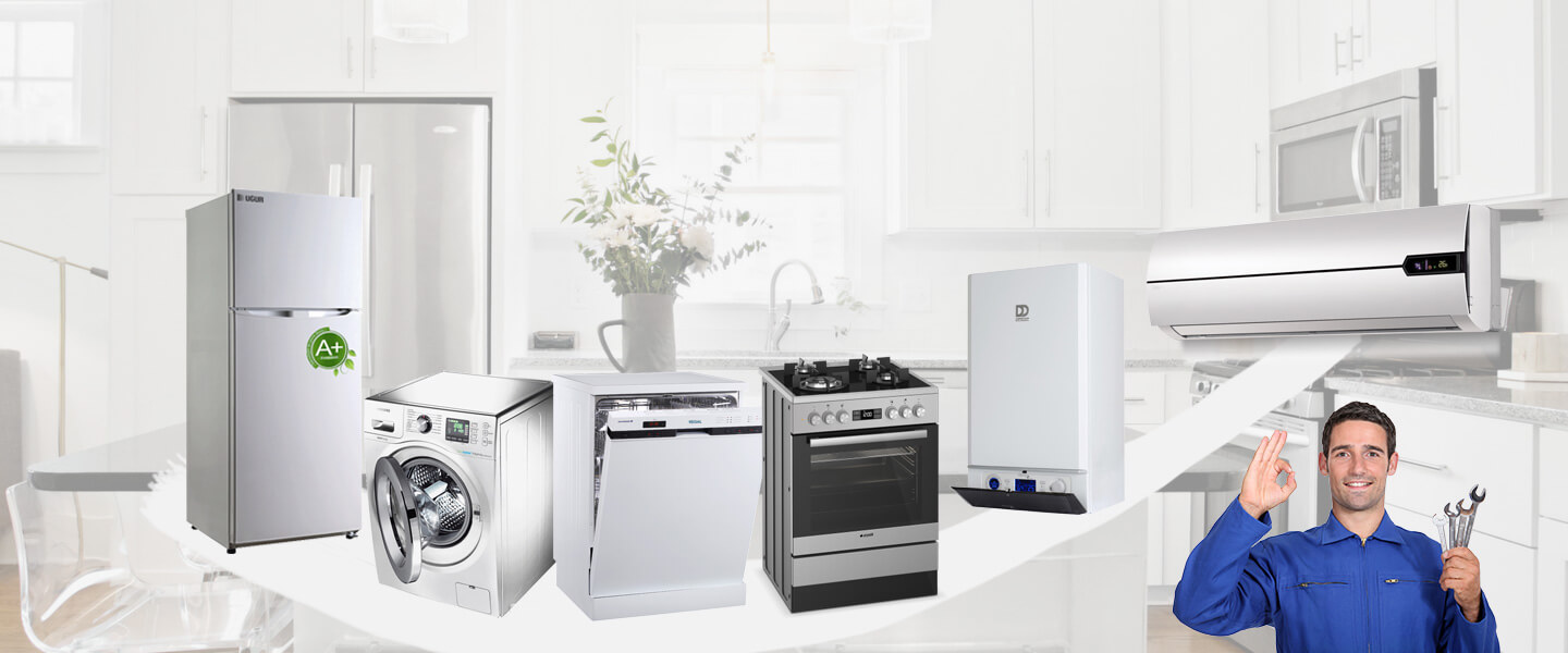 Arpaçay Philips Servisi